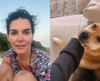 Atriz de Law & Order diz que entregador matou seu cão de estimação