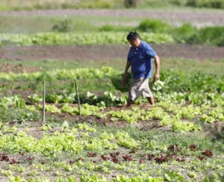 Bahia é o estado mais beneficiado pelo Programa Garantia-Safra