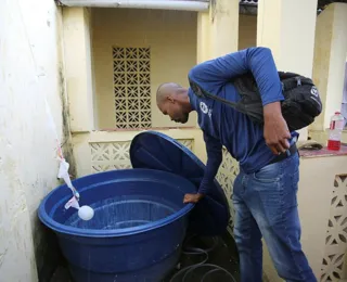 Bahia tem tendência de queda nos casos de dengue, diz COE