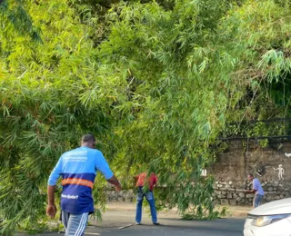 Bambuzal cai na Avenida Garibaldi e deixa trânsito congestionado