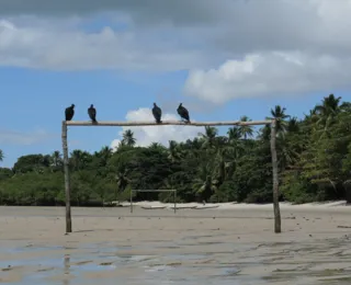 Boipeba sofre com excesso de lixo