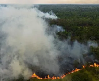 Brasil registra recorde de incêndios florestais entre janeiro e abril