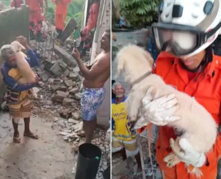 Cachorro é resgatado após mais de 30h em escombros no Largo do Tanque
