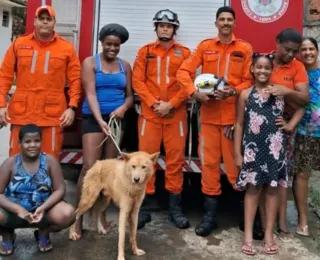 Cachorro é resgatado depois de ficar 2 dias em buraco de 3 metros