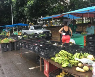 Cesta básica de Salvador fecha março com alta de 1,72%