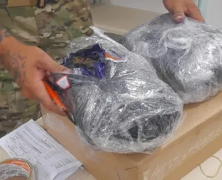 Cogumelos alucinógenos são apreendidos em encomendas dos Correios