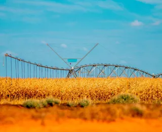 Comissões da Alba participam da 23º ExpoAgri, em Irecê