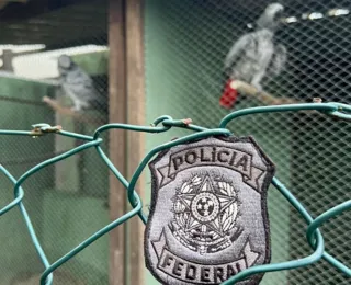 Contrabandistas de animais são alvos de operação em Salvador e RMS