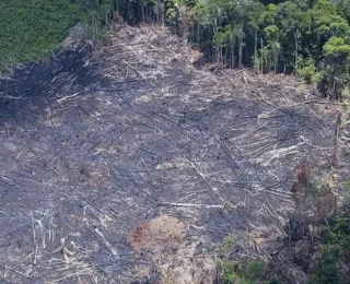 Desmatamento na Amazônia tem queda de 21,8% e no Pantanal, de 9,2%