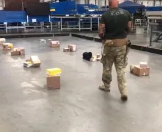 Drogas são apreendidas em 34 encomendas nos Correios