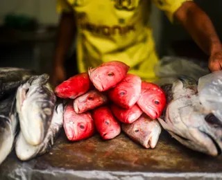 Empreendedor distribui peixes para famílias carentes na Semana Santa