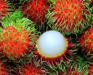 Estudantes desenvolvem biofilme à base de fruta cultivada na Bahia