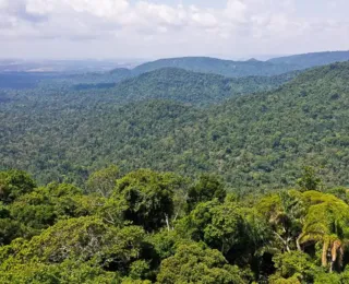 Estudo relata violência contra jornalistas e comunicadores na Amazônia