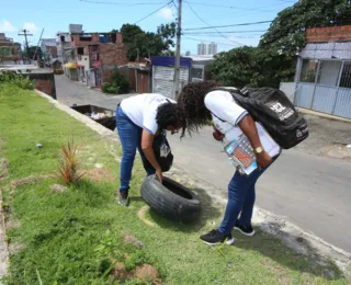 Incidência de dengue na Bahia é preocupante