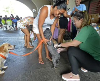 Mutirão vacina cães em Cajazeiras; saiba detalhes