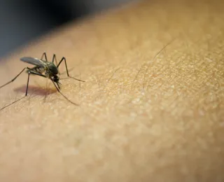 Número de mortos por Dengue sobe para 18 na Bahia