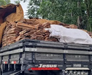 PRF flagra crime ambiental e apreende caminhão sem documentação válida