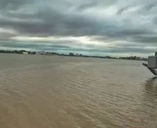 Peixes boiando são vistos nas ruas alagadas de Porto Alegre