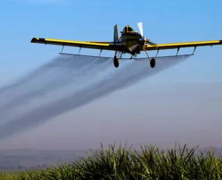 Petista propõe projetos para limitar uso de agrotóxicos na Bahia