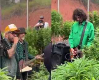 Planet Hemp faz show e videoclipe em plantação de maconha