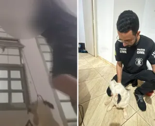 Polícia apreende adolescente após enforcar cão durante live