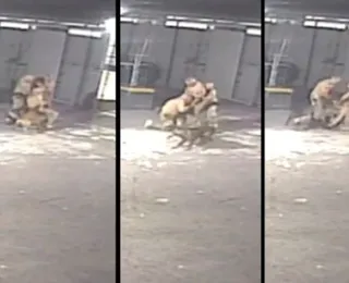 Policiais brigam por causa de escala de folga e são mordidos por cães
