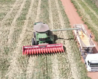 Produção agrícola transforma cenário do Oeste da Bahia