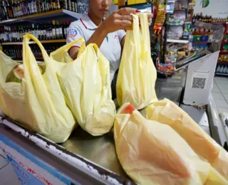 Sacolas plásticas não recicláveis serão proibidas a partir do dia 12