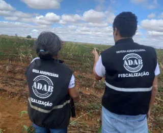 Saiba detalhes do concurso com 160 vagas para agrônomos e veterinários