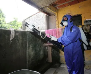 Salvador deixa lista de cidades em epidemia de dengue
