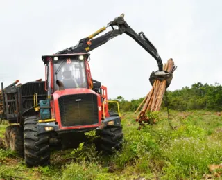 Serão ofertadas 14 vagas para curso da área florestal na Bahia