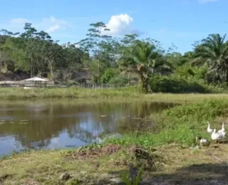 Terra liderada por Mãe Bernadete é reconhecida como quilombola