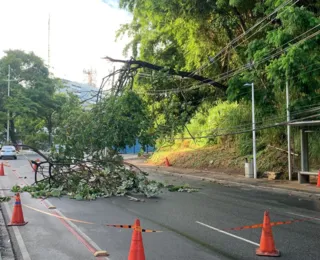 Trânsito na Avenida Garibaldi é interditado temporariamente