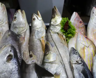 Vendas de pescados têm alta de 30% na quaresma