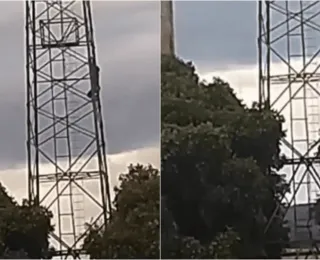 Vídeo: Homem cai de torre telefônica após ataque de abelhas na Bahia