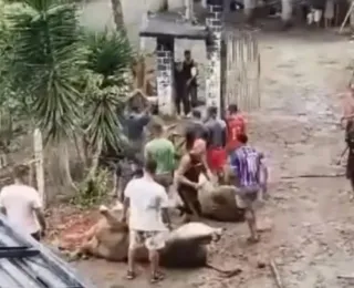 Vídeo: carne de boi é furtada após caminhão tombar na Bahia