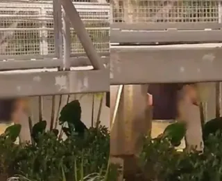 Vídeo: casal é flagrado fazendo sexo em passarela do Iguatemi