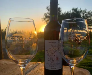 Vinhos de Morro do Chapéu são premiados em concurso