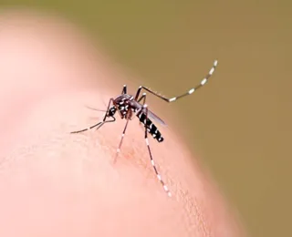 Vitória da Conquista registra nova morte por dengue