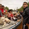 Drama de humanos e animais mobiliza baianos por doação - Imagem