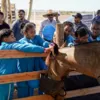 Estudantes conhecem vivências  do campo na Bahia Farm Show - Imagem