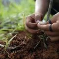 Agricultura familiar ganha destaque na Bahia Farm Show 2025 imagem