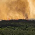 "Uma das piores situações já vistas", diz Marina Silva sobre incêndios imagem