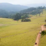 Descubra por que a Serra da Mantiqueira é a nova queridinha do inverno - Imagem