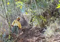 Após oito dias, incêndio no Parque Nacional do Itatiaia é extinto