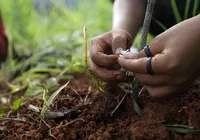 Agricultura familiar ganha destaque na Bahia Farm Show 2025 imagem