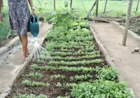 Bahia inclui mais 67 famílias no programa de reforma agrária