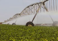 Bahia se destaca por ações sustentáveis no campo