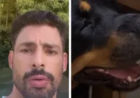 Cachorro do ator Cauã Reymond morre após envenenamento