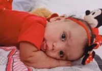 Cachorro que matou bebê não tinha se alimentado no dia do ataque